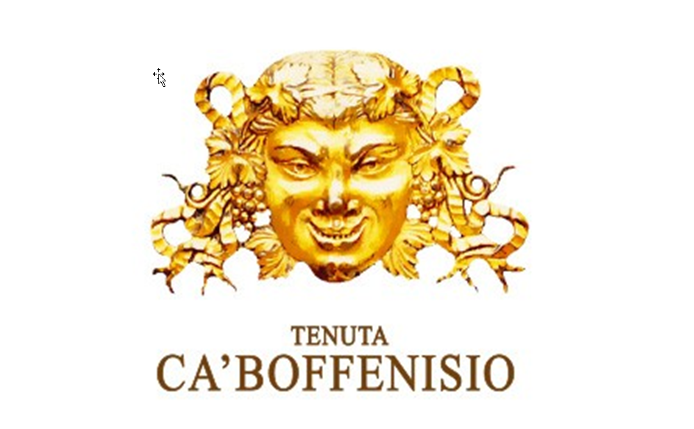 Logo di Ca' Boffenisio