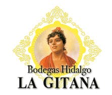 Logo di Hidalgo
