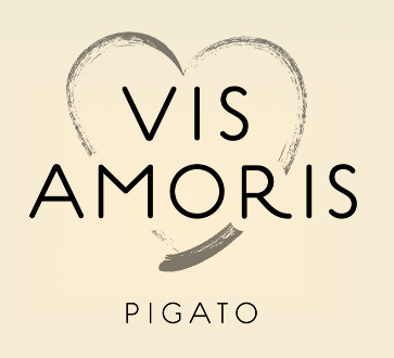 Logo di Vis Amoris